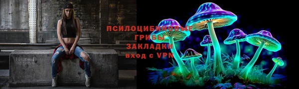 ALPHA PVP Каменск-Шахтинский